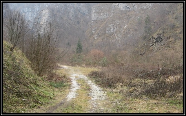 Cal del Sasso -Asiago (VI)